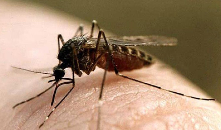 Primul caz de infecție cu virusul West Nile, în România. Mare atenție dacă aveți înțepături de țânțar și aveți aceste simptome