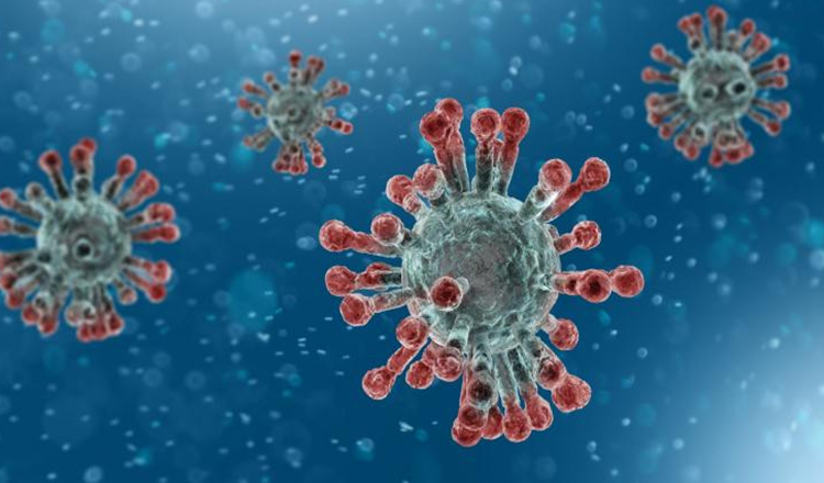 ALERTĂ OMS are PRIMA concluzie oficială: CARE e originea coronavirusului